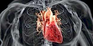 При сердечно-сосудистых заболеваниях