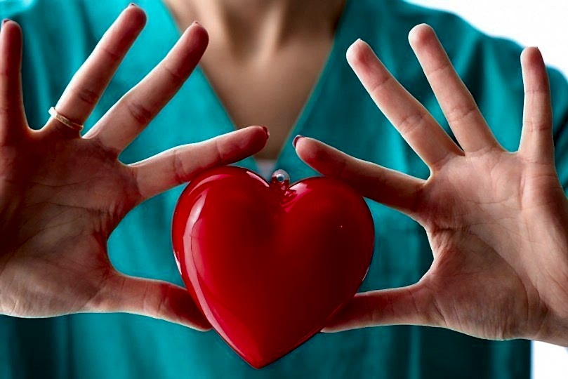 здоровое сердце