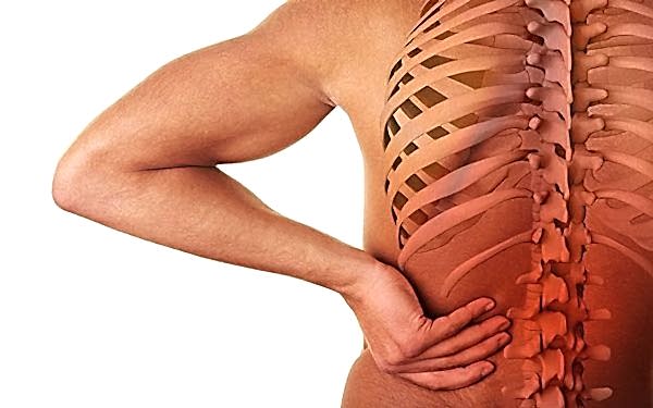 причины остеохондроза