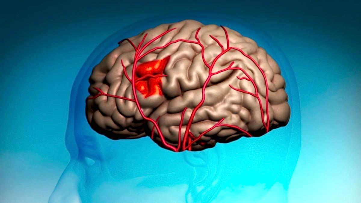 работа головного мозга